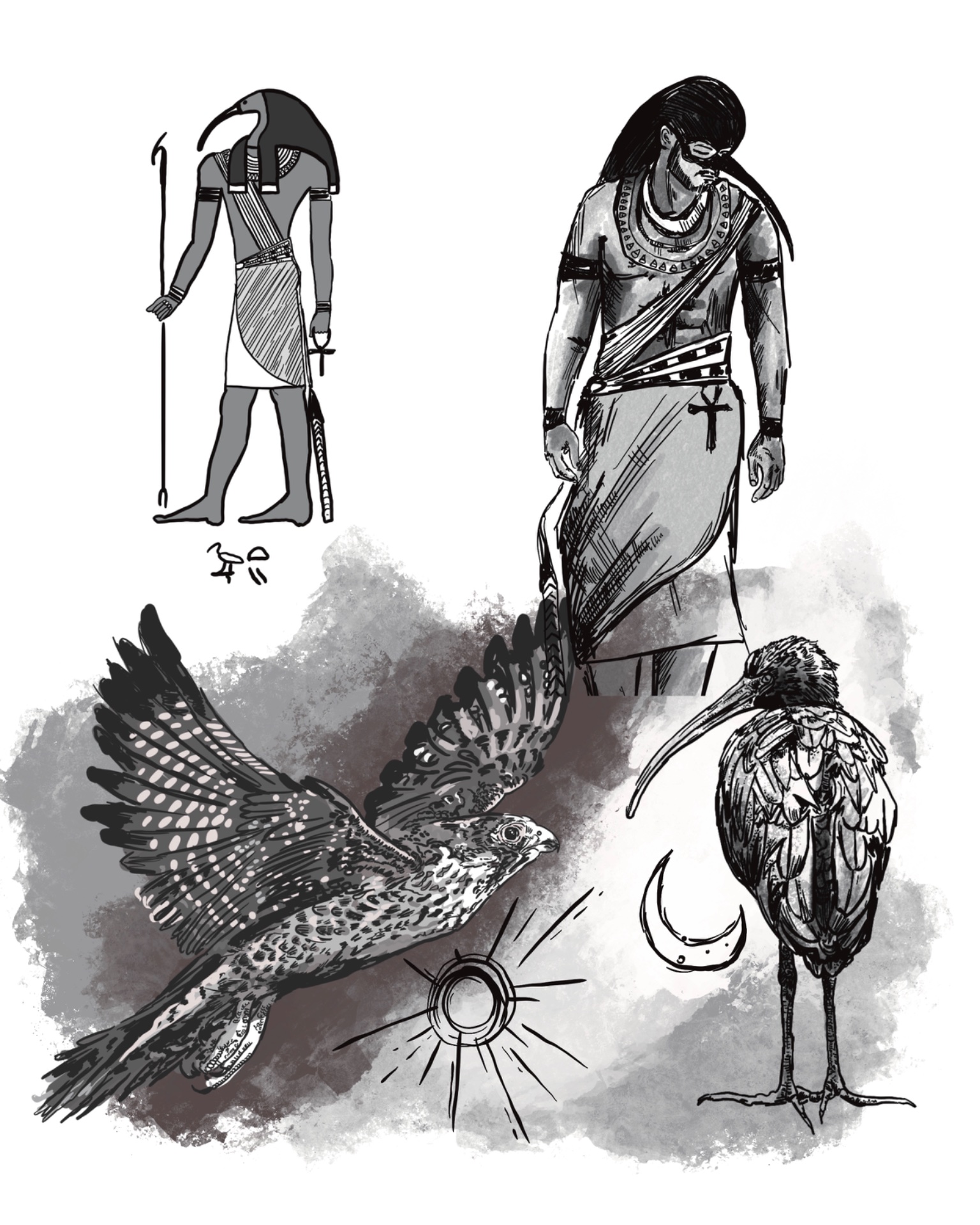 Egypt: Horus: černobílá ilustrace